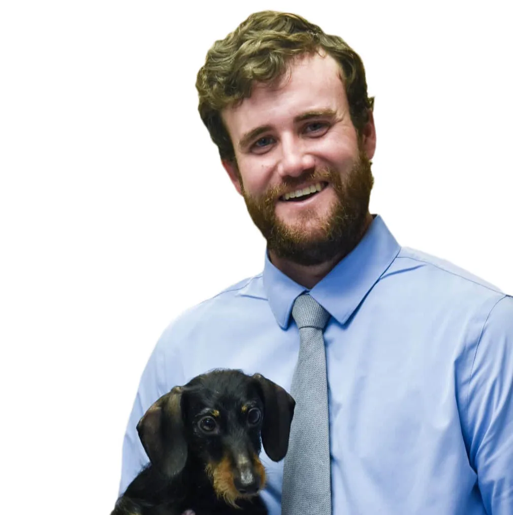Smiling veterinarian in a light blue shirt and tie holding a black and tan dachshund